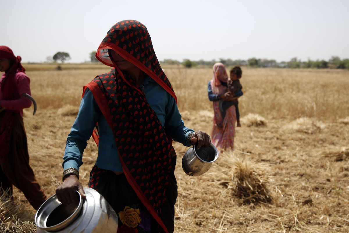 Agricultural workers at an EGC study site in Madhya Pradesh. Photographs by Ishan Tankha for Inclusion Economics.