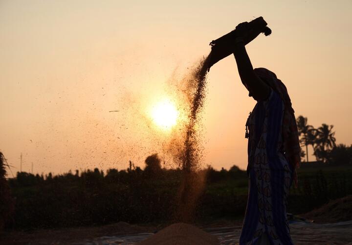 Photo of woman spilling seeds from bag, with sun behind her. 